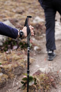Треккинговые палки Black Diamond Alpine FLZ, 120-140 см, Black (BD 112203-140)