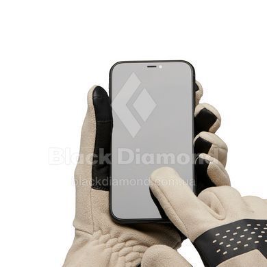 Перчатки мужские Black Diamond Alpine Fleece Gloves, Moonstone, XL (BD 8017472018XLG1)