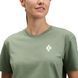 Футболка жіноча Black Diamond M Equipment For Alpinist SS Tee, Laurel Green, L (BD 7301923053LRG1)