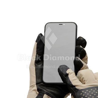 Рукавички чоловічі Black Diamond Alpine Softshell Gloves, Moonstone, XL (BD 8017432018XLG1)