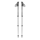 Треккинговые телескопические палки Black Diamond Trail Explorer 3, Anthracite (BD 1122290001ALL1)
