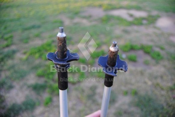 Трекінгові палки Black Diamond Distance Z, 110 см, Pewter (BD 11253210161101)