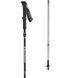 Трекінгові палки Black Diamond Distance Z, 110 см, Pewter (BD 11253210161101)