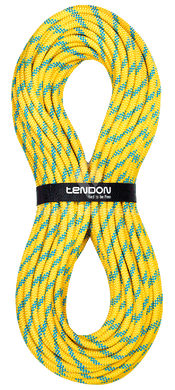 Статична мотузка Tendon Secure 11,0 STD 100m (TND L110TE43S100C)
