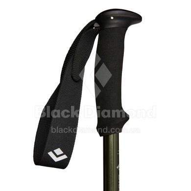 Треккинговые телескопические палки Black Diamond Trekking Explorer 3, Tundra (BD 1125513010ALL1)