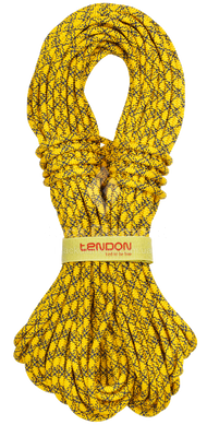 Динамическая верёвка Tendon Ambition 8.5 STD 50 м (TND D085TB41S050C)