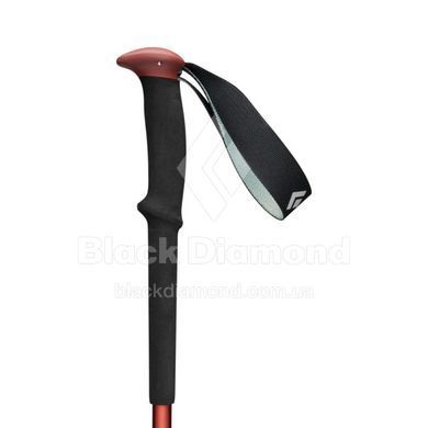 Трекінгові палиці Black Diamond Trail, Iron Red (BD 1100456053ALL1)