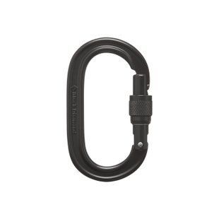 Карабін з муфтою Black Diamond Oval Keylock Screwgate, Black (BD 2102080002ALL1)