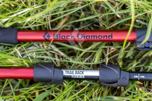 Трекінгові телескопічні палки Black Diamond Trail Back, 63-140 см, Raging Sea (BD 112227.3028)